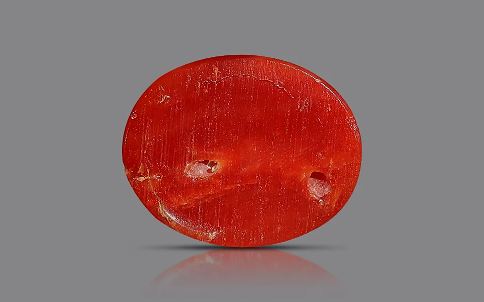 Red Coral - 4.60 Carats