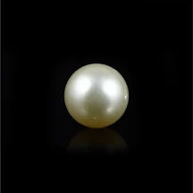 South Sea (Cultured) Pearl 10 MM - 7.41 Carats